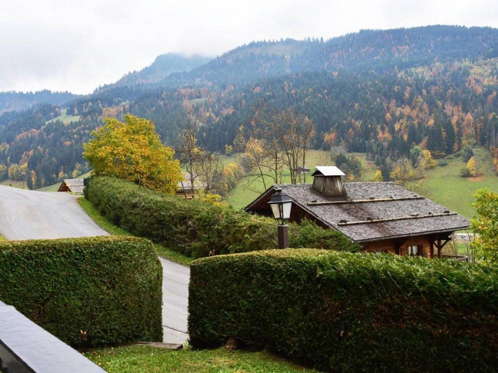 Studio En Rez-De-Jardin Pour 4 Avec Parking Couvert, A 500M De La Telecabine - Le Grand-Bornand - Fr-1-241-80 Экстерьер фото